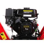 Broyeur de végétaux 7 CV - 100 mm maxi. Pack Complet – Image 2